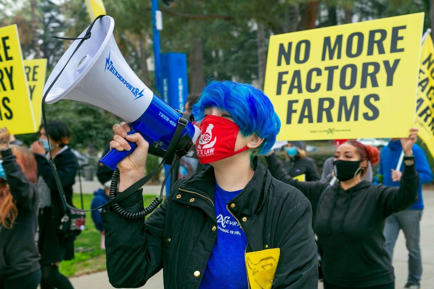 A Comprehensive Guide to Modern Android Civil Protections